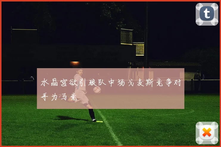 水晶宫欲引狼队中场戈麦斯竞争对手为马竞